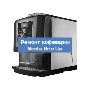 Замена жерновов на кофемашине Necta Brio Up в Новосибирске